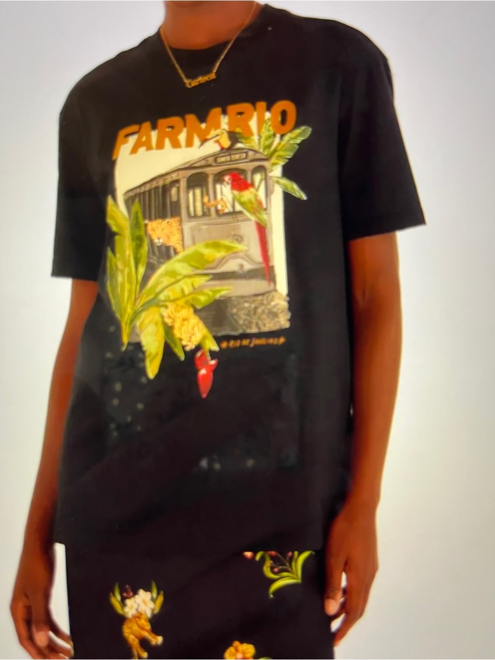 FARM RIO Black Graphic Tee with Tropical Train and Parrot - Picture 2 of 10